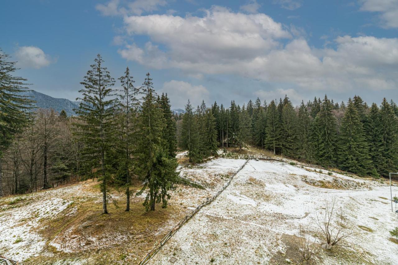 Ambient Apartment In Silver Montain - Poiana Brasov Ngoại thất bức ảnh